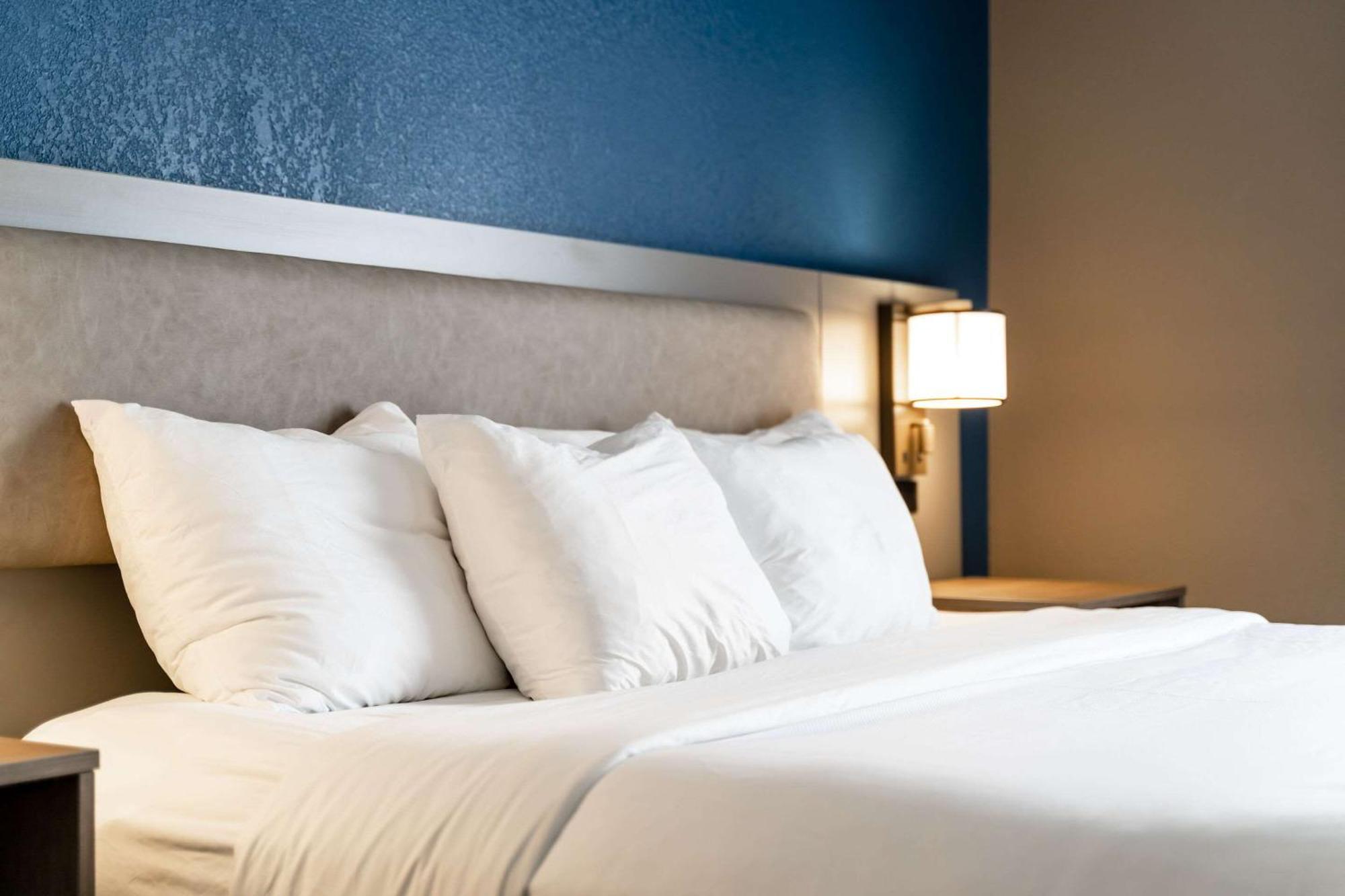 Comfort Suites Columbia Northeast - Fort Jackson Экстерьер фото